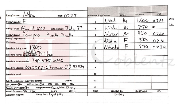 05.13.22 Cavapoos Sell Sheet
