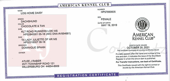 Daisy Registration