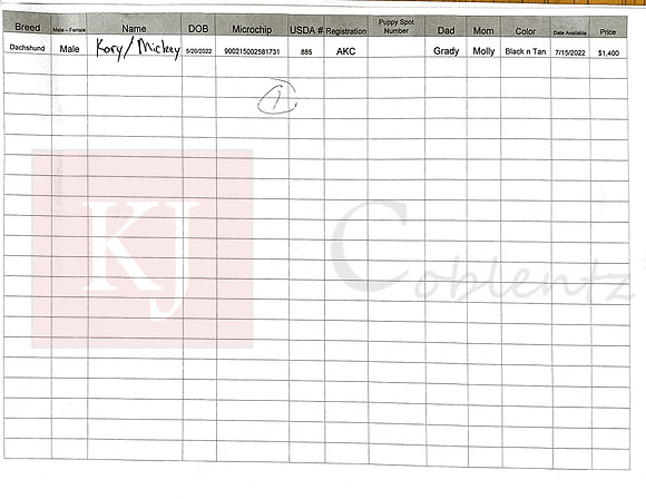 05.20.22 Mini Dachshund Sell Sheet