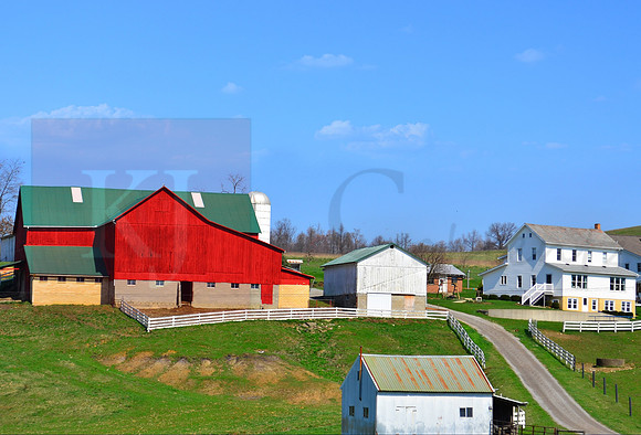 RedGreenBarn0312_KJCP0702 RS