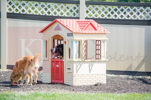 160916_QuailCreek Kennel_172
