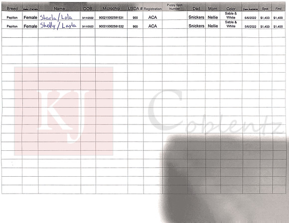 03.11.22 Papillon Sell Sheet