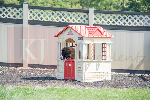 160916_QuailCreek Kennel_173