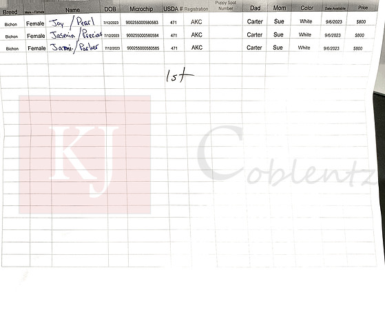 07.12.23 Bichons Sell Sheet