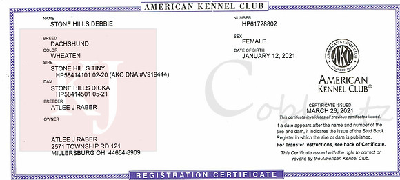 Debbie Registration