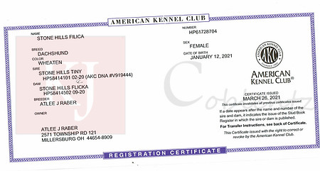 Filica_Registration