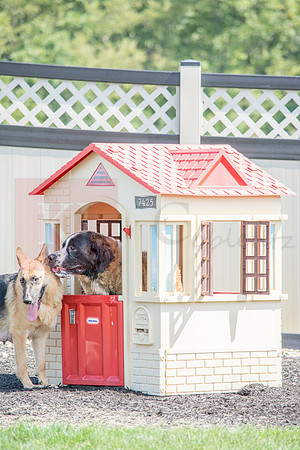 160916_QuailCreek Kennel_174