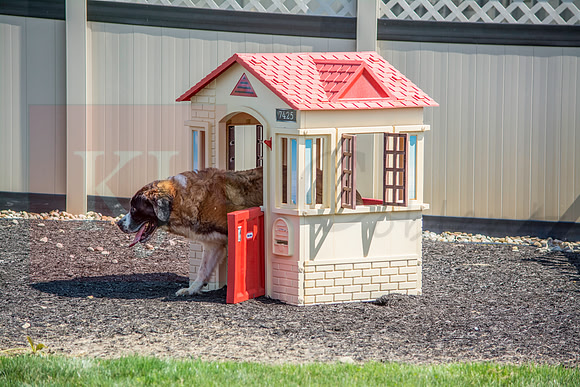 160916_QuailCreek Kennel_168