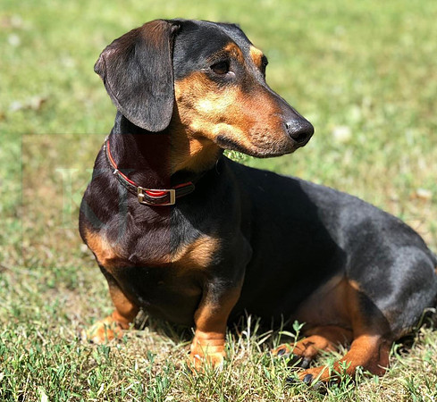 Maggie