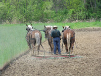 Going for a Ride