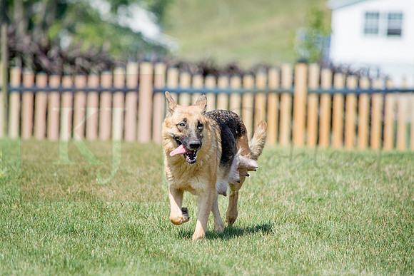 160916_QuailCreek Kennel_152