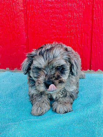 Quincy