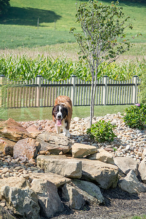 160916_QuailCreek Kennel_184