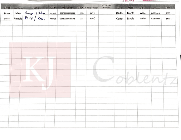 07.01.23 Bichons Sell Sheet