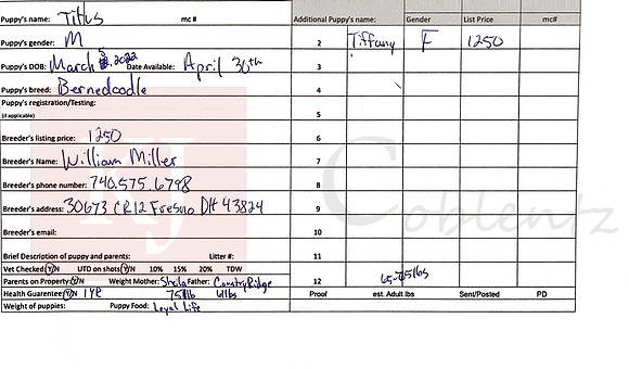 03.05.22 Bernedoodles Sell Sheet