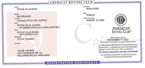 Dixie Registration