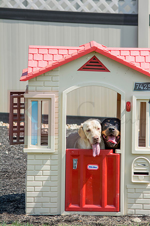 160916_QuailCreek Kennel_183