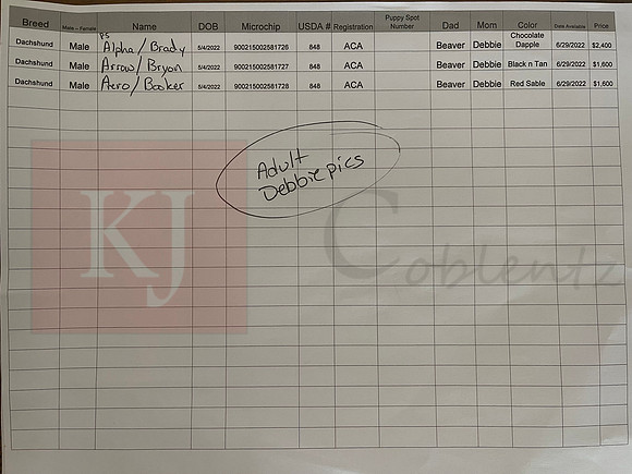 05.04.22 Dachshund Sell Sheet